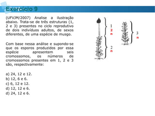 (UFVJM/2007) Analise a ilustração
abaixo. Trata-se de três estruturas (1,
2 e 3) presentes no ciclo reprodutivo
de dois indivíduos adultos, de sexos
diferentes, de uma espécie de musgo.
Com base nessa análise e supondo-se
que os esporos produzidos por essa
espécie apresentem seis
cromossomos, os números de
cromossomos presentes em 1, 2 e 3
são, respectivamente:
a) 24, 12 e 12.
b) 12, 6 e 6.
c) 6, 12 e 12.
d) 12, 12 e 6.
d) 24, 12 e 6.
Exercício 9
2
n
n
n
 