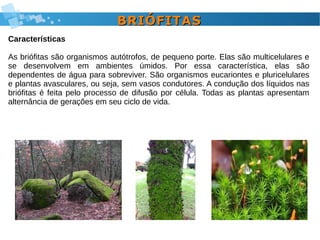 BRIÓFITASBRIÓFITAS
Características
As briófitas são organismos autótrofos, de pequeno porte. Elas são multicelulares e
se desenvolvem em ambientes úmidos. Por essa característica, elas são
dependentes de água para sobreviver. São organismos eucariontes e pluricelulares
e plantas avasculares, ou seja, sem vasos condutores. A condução dos líquidos nas
briófitas é feita pelo processo de difusão por célula. Todas as plantas apresentam
alternância de gerações em seu ciclo de vida.
 