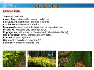 BRIÓFITASBRIÓFITAS
RESUMO FINALRESUMO FINAL
Tamanho: diminuto.
Avasculares: não contêm vasos condutores.
Estruturas falsas: filoide, cauloide e rizoide.
Ambientes: úmidos e sombreados.
Fecundação: necessitam da água para se reproduzirem.
Dispersão: realizada pelo vento (esporos)
Criptógamas: estruturas reprodutivas não são visíveis (flores).
Não produzem: flores, sementes e nem frutos.
Protonema: planta jovem.
Gametófito: duradouro, haploide (n)
Esporófito: efêmero, diploide (2n)
 