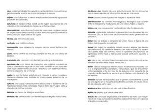 dicótomo,-ma: división de una estructura para formar dos partes
mas o menos iguales; ej. bifurcación del eje en dos ramas.
diente: proyecciones agudas del margen o superficie foliar.
diferenciación: los cambios morfológicos y fisiológicos que ocurren
entre la iniciación y maduración de una célula, tejido u órgano.
dioico,-ca: con arquegonios y anteridios en plantas separadas.
diploide: una célula, individuo o generación con dos series de cro-
mosomas (2n); el típico nivel de cromosomas de la generación es-
porofítica.
distal: lejos de la base o del punto de unión; hacia el ápice de una
hoja o tallo (opuesto a proximal).
dorsal: (en hojas): la superficie abaxial, envés o inferior; (en dientes
del peristoma): la superficie extrema; (en tallos o talos): la superfi-
cie superior, lejos del sustrato; (nota: la aparente discrepancia de
significado entre hojas y tallo puede causar confusión; opuesto a
ventral).
eje: tallo o talo principal; línea conceptual en torno a la cual se de-
sarrollan las estructuras (hojas, ramas, etc.).
eláter: células elongadas diferenciadas, muertas en la madurez con
1 a 3 engrosamientos parietales, helicoidales, que se encuentran
entremezclados entre la masa de las esporas en la mayoría de las
cápsulas de las hepáticas; separan y contribuyen a la dispersión de
las esporas.
embrión: la fase del esporofito que se genera normalmente a partir
de una zigota; en la mayoría de las Briófitas consiste en células inicia-
les de cápsulas, seta y pie.
endémico,-ca: limitado a un solo país o área florística.
epífito,-ta: planta que crece sobre otra.
erecto,-ta: con hojas dirigidas hacia el extremo del tallo; con márge-
nes de las hojas curvadas hacia arriba (adaxialmente); con cápsulas
erguidas, no curvadas.
clon: población de plantas genéticamente idénticas producidas ve-
getativamente a partir de un solo propágulo o espora.
cojines: con tallos mas o menos erectos estrechamente agrupados
y radiales en los bordes.
columela: el tejido central, estéril, de la región esporígena de una
cápsula en la mayoría de los musgos y anthocerotales.
conceptáculo: estructura en forma de copa que contiene yemas
de origen taloso (Marchantia) o foliar, estructura para favorecer la
distribución por salpicaduras del agua.
cónico,-ca: en forma de cono.
cortícola: que habita cortezas.
cosmopolita: que aparece la mayoría de las zonas florísticas del
mundo.
costa: nervio central de una hoja, siempre de más de una célula de
espesor.
crenulado,-da: crenado; con dientes menudos y redondeados.
cuculado,-da: con forma de capucha; una caliptra cuculada es
cónica y hendida a largo de un solo lado; también se usa para des-
cribir hojas fuertemente cóncavas y erectas o con extremos inflexos,
como la capucha de un monje.
cuello: la porción basal estéril de una cápsula, a veces considera-
blemente diferenciado; también la parte superior estrecha de un
arquegonio.
cutícula: una capa cutinizada extracelular sobre la epidermis de las
hepáticas talosas más complejas, hojas o tallos de musgos, setas y
cápsulas de anthocerotales.
deltoide: en forma de triángulo equilátero.
dentado,-da: denticulado; con dientes agudos dirigidos hacia fuera.
151150 Briófitas de los Bosques Templados de Chile
 