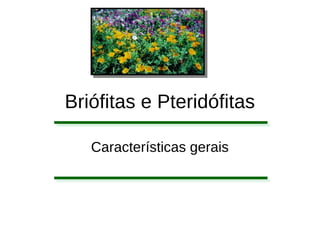 Briófitas e Pteridófitas
Características gerais
 