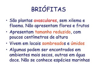 BRIÓFITAS
• São plantas avasculares, sem xilema e
floema. Não apresentam flores e frutos
• Apresentam tamanho reduzido, com
poucos centímetros de altura
• Vivem em locais sombreados e úmidos
• Algumas podem ser encontrados em
ambientes mais secos, outras em água
doce. Não se conhece espécies marinhas

 