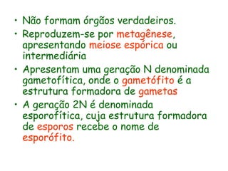 • Não formam órgãos verdadeiros.
• Reproduzem-se por metagênese,
apresentando meiose espórica ou
intermediária
• Apresentam uma geração N denominada
gametofítica, onde o gametófito é a
estrutura formadora de gametas
• A geração 2N é denominada
esporofítica, cuja estrutura formadora
de esporos recebe o nome de
esporófito.

 