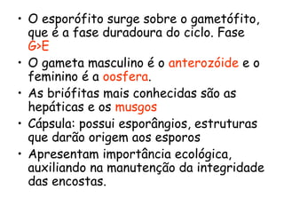 • O esporófito surge sobre o gametófito,
que é a fase duradoura do ciclo. Fase
G>E
• O gameta masculino é o anterozóide e o
feminino é a oosfera.
• As briófitas mais conhecidas são as
hepáticas e os musgos
• Cápsula: possui esporângios, estruturas
que darão origem aos esporos
• Apresentam importância ecológica,
auxiliando na manutenção da integridade
das encostas.

 