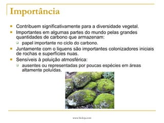 Importância Contribuem significativamente para a diversidade vegetal. Importantes em algumas partes do mundo pelas grandes quantidades de carbono que armazenam: papel importante no ciclo do carbono. Juntamente com o liquens são importantes colonizadores iniciais de rochas e superfícies nuas. Sensíveis à poluição atmosférica: ausentes ou representadas por poucas espécies em áreas altamente poluídas. 