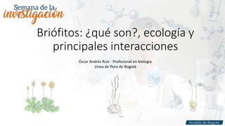 Briófitos: ¿qué son?, ecología y
principales interacciones
Óscar Andrés Ruiz - Profesional en biología
Línea de flora de Bogotá
 