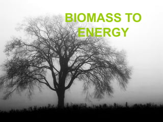 BIOMASS TO
  ENERGY
 