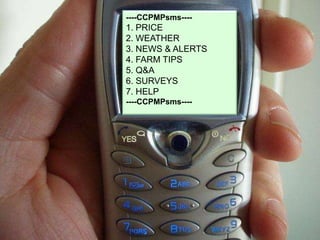 Information Services (1)Stage 1Price and market information by regionConnect to Cambodian Agricultural Market Information System (CAMIS) database via SMSFarm tips - crop/production informationWeather, news and alerts – e.g. TB warningsRequests for information (fax back or mail out)Price submission
