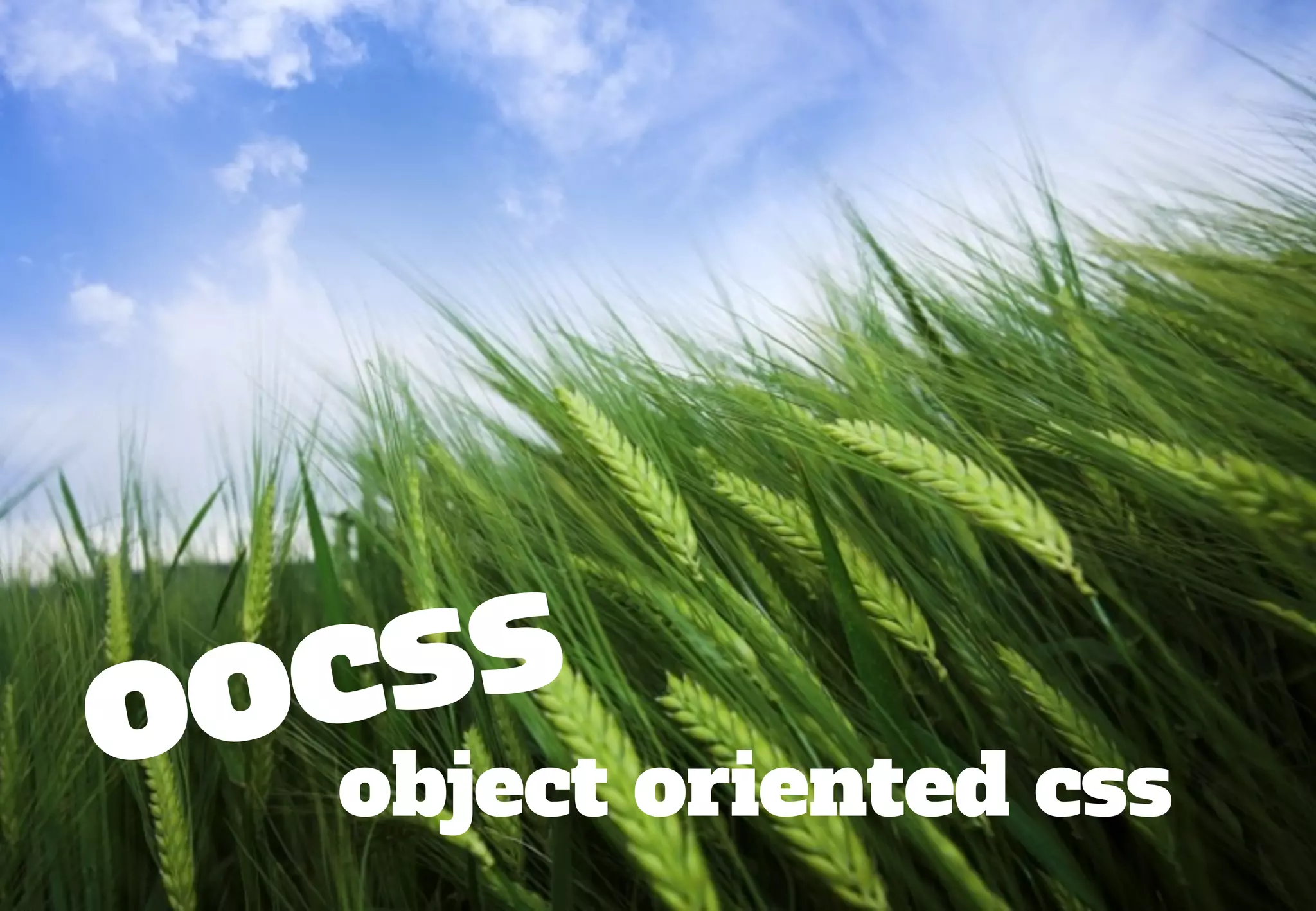 ss
 oc oriented css
o object
 
