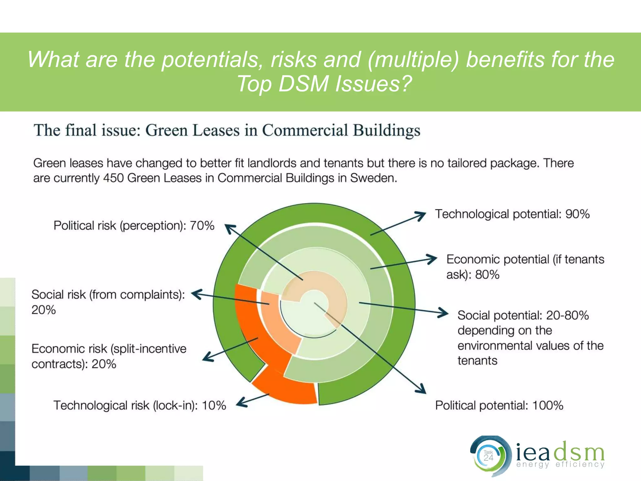 What are the potentials, risks and (multiple) benefits for the
Top DSM Issues?
 