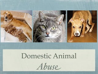 Domestic Animal
    Abuse
 