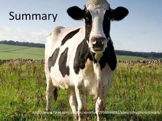 Our pixelhttp://wehaveyourkidneys.com/add.php?	segment=<alphaNumericCode>	&expire=<numberOfSeconds> We’ll use Cassandra’s expiring      columns feature PHP code – uses phpcassa$pool = new ConnectionPool('whyk', array('localhost'));$users = new ColumnFamily($pool, 'users');$segments = new ColumnFamily($pool, 'segments');$users->insert($userUuid,array($segment => 1),NULL,    // default TS$expires     );$segments->insert($segment,array($userUuid => 1),NULL,    // default TS$expires     );