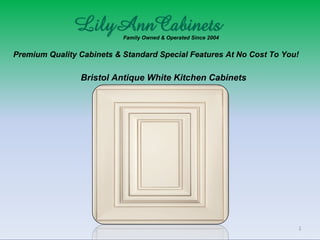 Family Owned & Operated Since 2004
Premium Quality Cabinets & Standard Special Features At No Cost To You!
Bristol Antique White Kitchen Cabinets
 