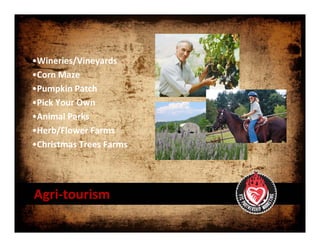 •Wineries/Vineyards
•Corn Maze 
•Pumpkin Patch 
•Pick Your Own 
•Animal Parks
•Herb/Flower Farms 
•Christmas Trees Farms




Agri‐tourism
 