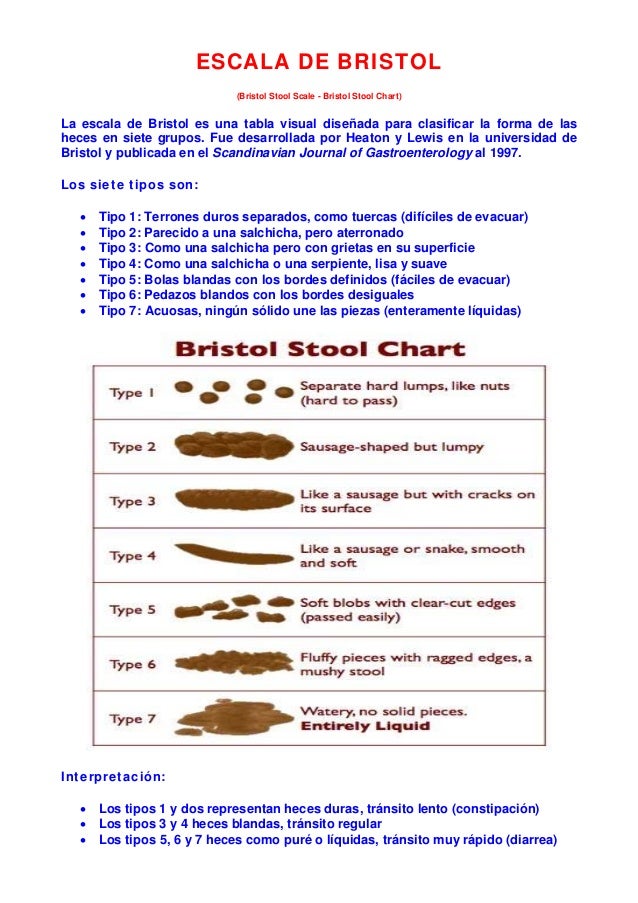 Bristol Stool Chart Pdf