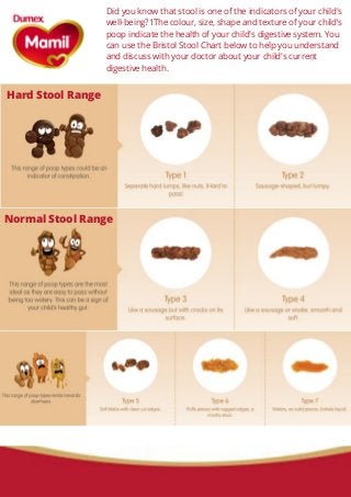 Bristol Stool Chart and Toddler Digestive System