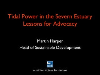 Tidal Power in the Severn Estuary Lessons for Advocacy Martin Harper Head of Sustainable Development 