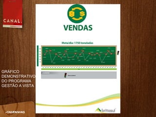 >CAMPANHAS GRÁFICO DEMONSTRATIVO DO PROGRAMA GESTÃO A VISTA 