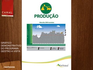 >CAMPANHAS GRÁFICO DEMONSTRATIVO DO PROGRAMA GESTÃO A VISTA 