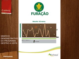 >CAMPANHAS GRÁFICO DEMONSTRATIVO DO PROGRAMA GESTÃO A VISTA 