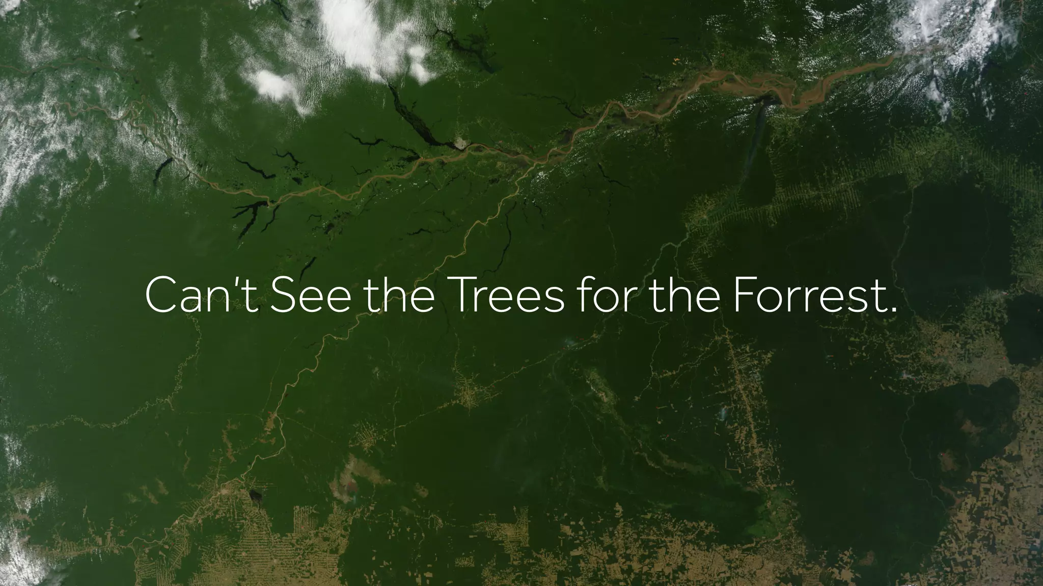 Can’t See the Trees for the Forrest.
 