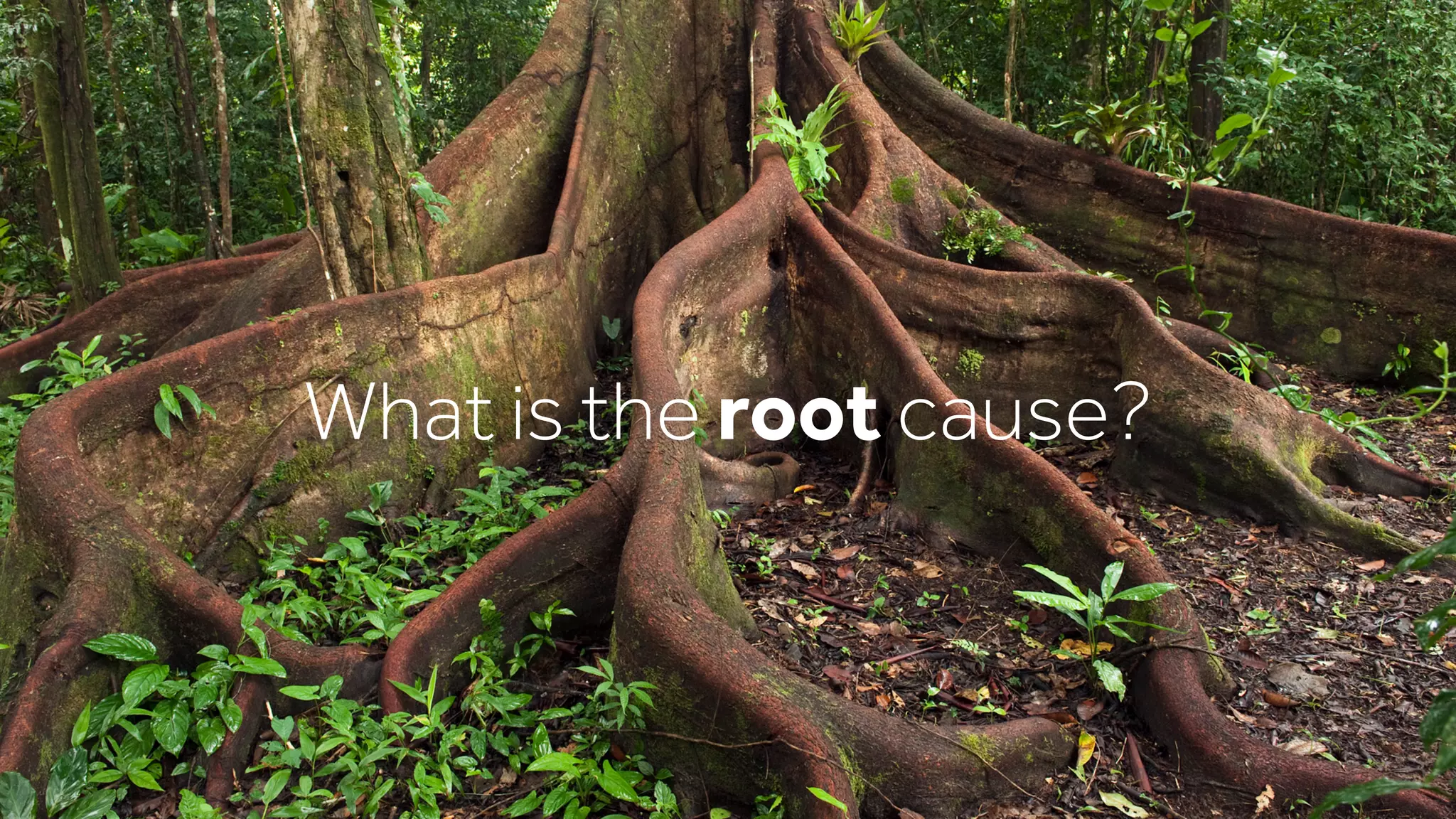 What is the root cause?
 