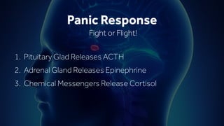 1. Pituitary Glad Releases ACTH
2. Adrenal Gland Releases Epinephrine
3. Chemical Messengers Release Cortisol
Panic Response
Fight or Flight!
 