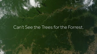 Can’t See the Trees for the Forrest.
 