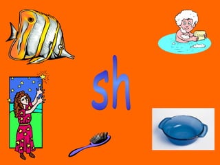 sh 