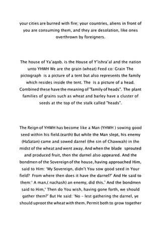 your cities are burned with fire; your countries, aliens in front of
you are consuming them, and they are desolation, like ones
overthrown by foreigners.
The house of Ya’aqob. is the House of Y’ishra’al and the nation
unto YHWH We are the grain (wheat) Feed co: Grain The
pictograph is a picture of a tent but also represents the family
which resides inside the tent. The is a picture of a head.
Combined these have the meaning of "family of heads". The plant
families of grains such as wheat and barley have a cluster of
seeds at the top of the stalk called "heads".
The Reign of YHWH has become like a Man (YHWH ) sowing good
seed within his field.(earth) But while the Man slept, his enemy
(HaSatan) came and sowed darnel (the sin of Chawwah) in the
midst of the wheat and went away. And when the blade sprouted
and produced fruit, then the darnel also appeared. And the
bondmen of the Sovereign of the house, having approached Him,
said to Him: ‘My Sovereign, didn’t You sow good seed in Your
field? From where then does it have the darnel?’ And He said to
them:‘ A man,( nachash) an enemy, did this.’ And the bondmen
said to Him,‘ Then do You wish, having gone forth, we should
gather them?’ But He said: ‘No – lest gathering the darnel, ye
should uproot the wheat with them. Permit both to grow together
 