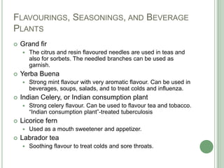 Flavourings, Seasonings, and Beverage PlantsGrand firThe citrus and resin flavoured needles are used in teas and also for sorbets. The needled branches can be used as garnish.Yerba BuenaStrong mint flavour with very aromatic flavour. Can be used in beverages, soups, salads, and to treat colds and influenza.Indian Celery, or Indian consumption plantStrong celery flavour. Can be used to flavour tea and tobacco. “Indian consumption plant”-treated tuberculosisLicoricefernUsed as a mouth sweetener and appetizer. Labrador teaSoothing flavour to treat colds and sore throats.