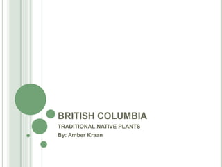 BRITISH COLUMBIA TRADITIONAL NATIVE PLANTS By: Amber Kraan 
