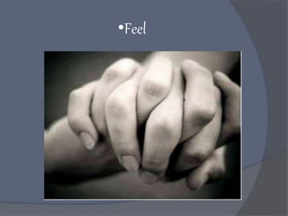 •Feel
 