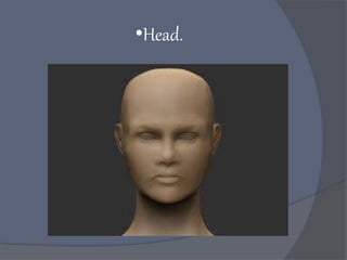 •Head.
 