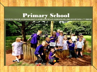 Primary School 
 