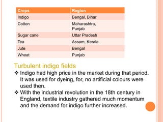 Crops Region
Indigo Bengal, Bihar
Cotton Maharashtra,
Punjab
Sugar cane Uttar Pradesh
Tea Assam, Kerala
Jute Bengal
Wheat Punjab
Turbulent indigo fields
 Indigo had high price in the market during that period.
It was used for dyeing, for, no artificial colours were
used then.
 With the industrial revolution in the 18th century in
England, textile industry gathered much momentum
and the demand for indigo further increased.
 