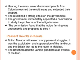  Hearing the news, several educated people from
Calcutta reached the revolt areas and extended their
support.
 The revolt had a strong effect on the government.
 The government immediately appointed a commission
to study the problems of the indigo farmers.
 The commission found that the indigo farming was
uneconomic and proposed to stop it
Peasant Revolts in Kerala
 British Malabar witnessed many peasant struggles. It
was the exploitation and suppression of the landlords
and the British that led to the revolt in Malabar.
 The British treated the Janmis (landlords) as owners
of the land.
 