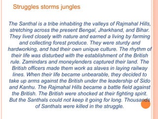 The Santhal is a tribe inhabiting the valleys of Rajmahal Hills,
stretching across the present Bengal, Jharkhand, and Bihar.
They lived closely with nature and earned a living by farming
and collecting forest produce. They were sturdy and
hardworking, and had their own unique culture. The rhythm of
their life was disturbed with the establishment of the British
rule. Zamindars and moneylenders captured their land. The
British officers made them work as slaves in laying railway
lines. When their life became unbearable, they decided to
take up arms against the British under the leadership of Sido
and Kanhu. The Rajmahal Hills became a battle field against
the British. The British were shocked at their fighting spirit.
But the Santhals could not keep it going for long. Thousands
of Santhals were killed in the struggle.
Struggles storms jungles
 