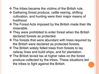  The tribes became the victims of the British rule.
 Gathering forest produce, cattle rearing, shifting
cultivation, and hunting were their major means of
livelihood.
 The Forest Acts imposed by the British made their life
miserable.
 They were prohibited to enter forest when the British
declared forests as protected.
 The forests that were abundant with trees required by
the British were declared as protected forests.
 The British widely felled trees from forests to lay
railway lines and build ships, and for plantation.
 The British levied tax at higher rates on the forest
produce collected by the tribes. These situations led
the tribes to fight against the British.
 