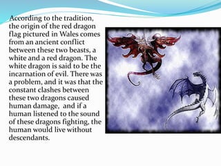 According to the tradition,
the origin of the red dragon
flag pictured in Wales comes
from an ancient conflict
between these two beasts, a
white and a red dragon. The
white dragon is said to be the
incarnation of evil. There was
a problem, and it was that the
constant clashes between
these two dragons caused
human damage, and if a
human listened to the sound
of these dragons fighting, the
human would live without
descendants.
 
