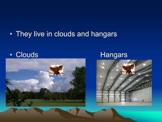 • They live in clouds and hangars
• Clouds Hangars
 