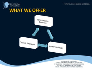 WHAT WE OFFER
 