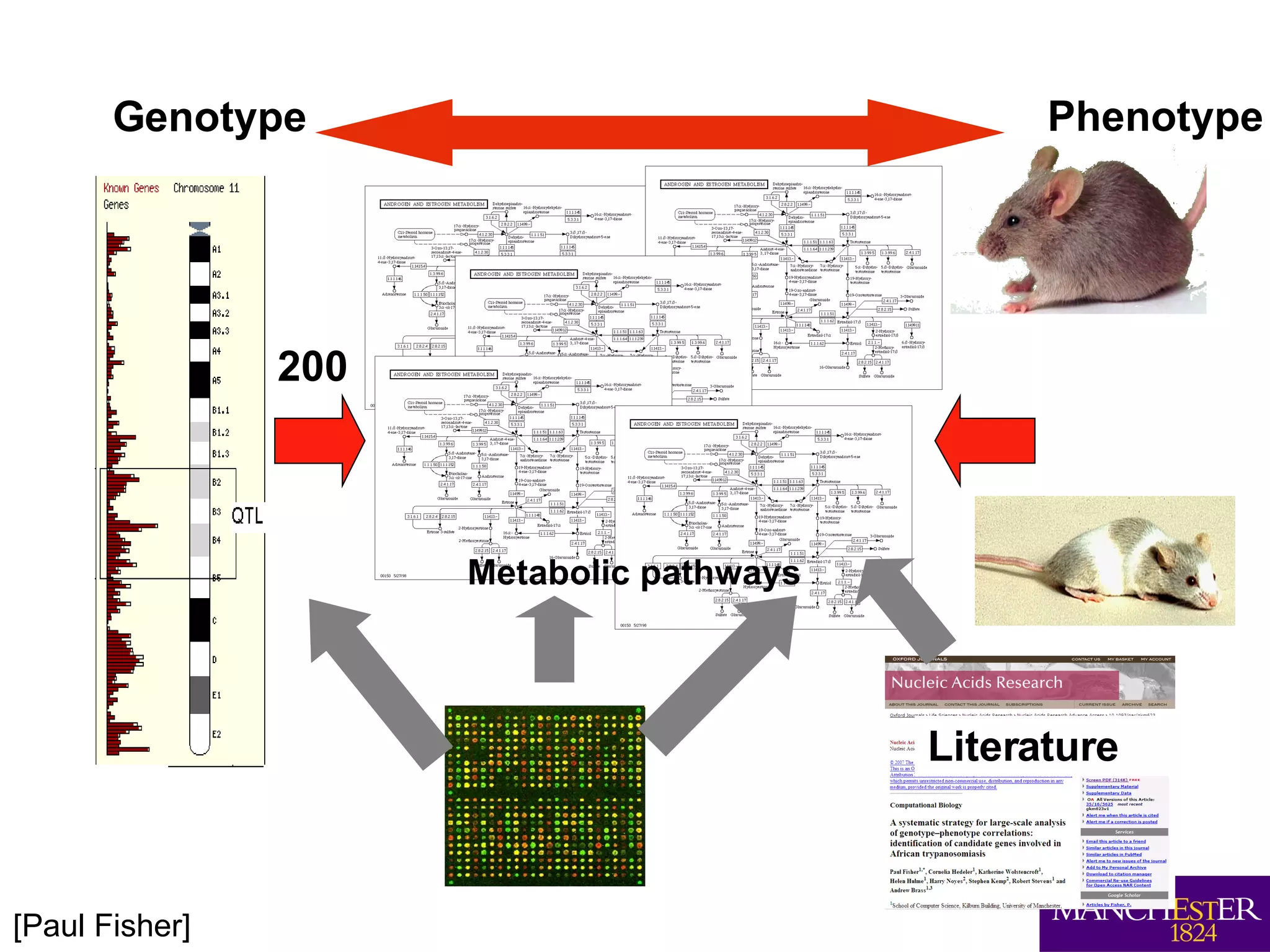 200 Genotype Phenotype Metabolic pathways Literature [Paul Fisher] 
