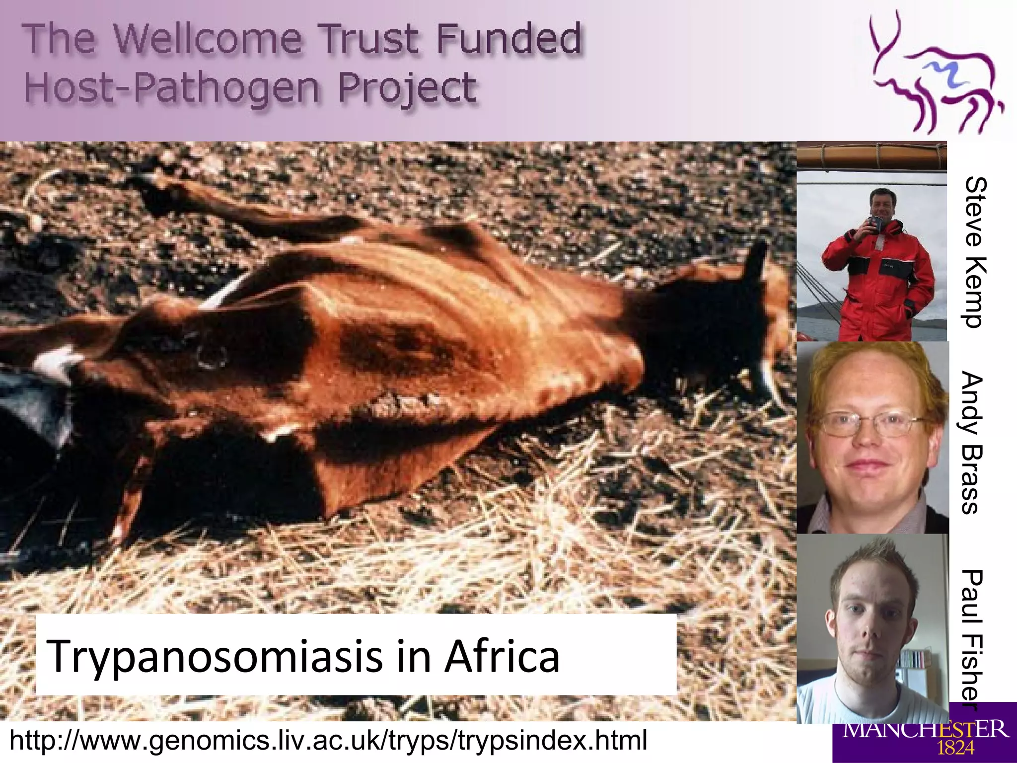 Trypanosomiasis in Africa http://www.genomics.liv.ac.uk/tryps/trypsindex.html Andy Brass Steve Kemp Paul Fisher 