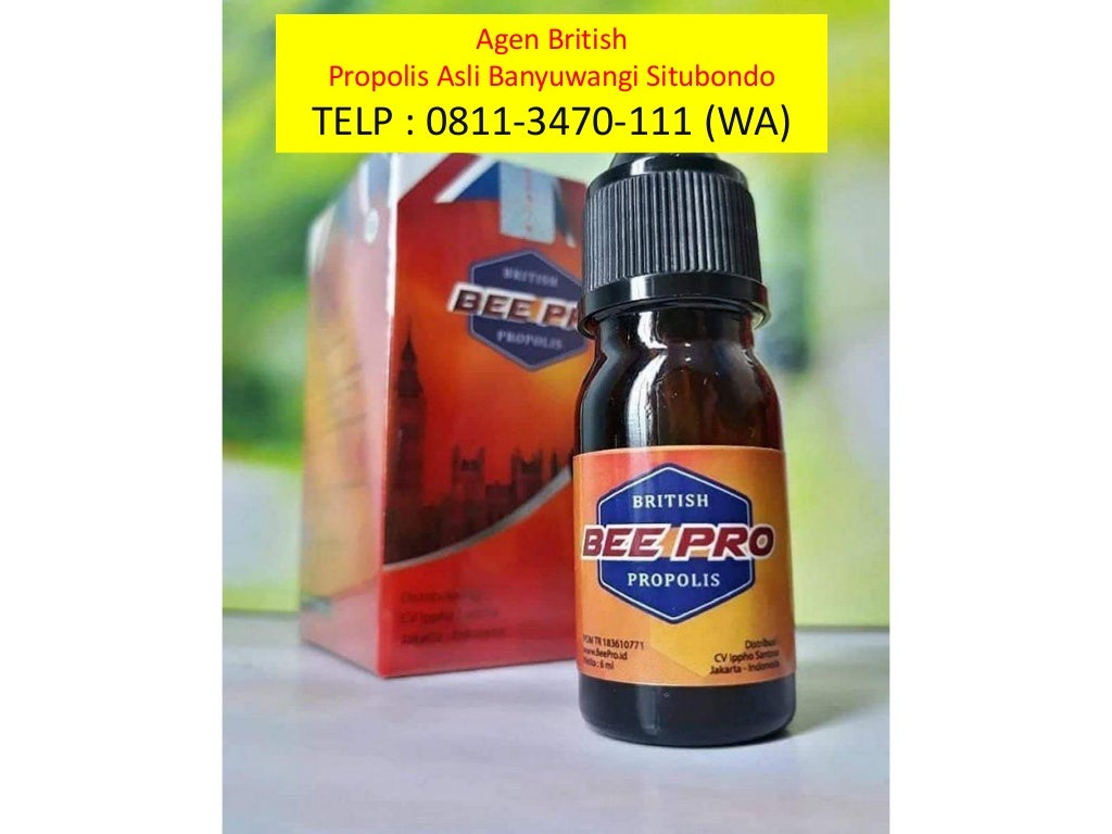 DISTRO !! TELP 08113470111 (WA), Agen British Propolis Asli