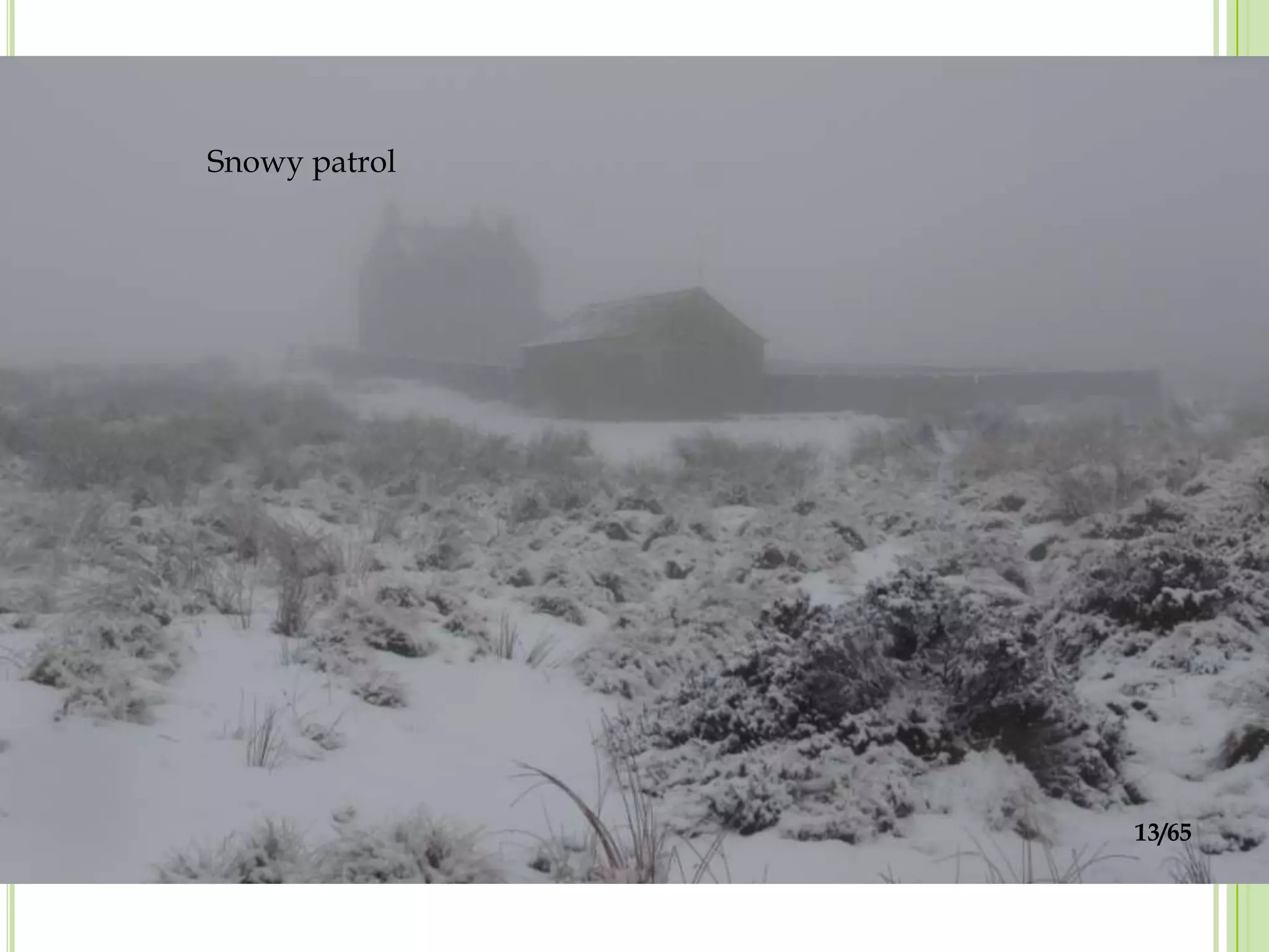 Snowy patrol
13/65