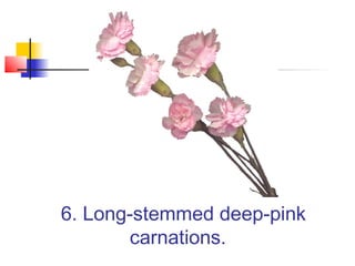 6. Long-stemmed deep-pink
carnations.
 