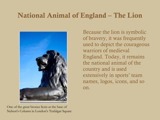 National Animal of England – The Lion

                                               Because the lion is symbolic
                                               of bravery, it was frequently
                                               used to depict the courageous
                                               warriors of medieval
                                               England. Today, it remains
                                               the national animal of the
                                               country and is used
                                               extensively in sports’ team
                                               names, logos, icons, and so
                                               on.


One of the great bronze lions at the base of
Nelson's Column in London's Trafalgar Square
 