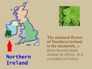 The national flower
           of Northern Ireland
           is the shamrock, a
           three-leaved plant
           similar to clover. It is
Northern   a symbol of trinity
Ireland
 