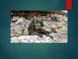  En las provincias de la zona andina el
nivel fue de 4, por lo que el temblor
"fue sentido ampliamente por la
población", pero "no se observan
daños de manera general", señala el
informe, publicado en el sitio web del
instituto.
 